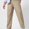 Beige Regular Fit Cotton Pants